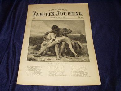 1896 nr 021 Illustreret Familie Journal
