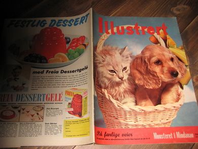 1961 nr 017 Illustrert