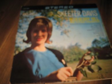 DAVIS SKEETER: BLUEBERRY HILL 1965