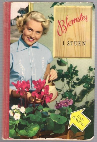 Sjøbeck Einar: Blomster i stuen 1954