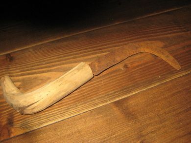 Meget gammel heimesmidd sigd på skaft, ca 30 cm lang, 1800 tallet.