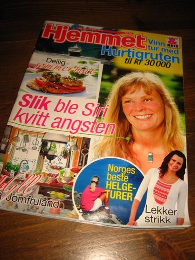 2010 nr 029 Hjemmet