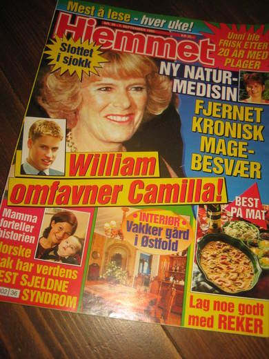 1999 nr 036 Hjemmet