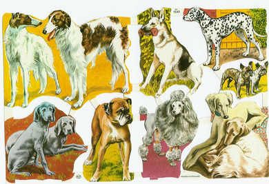 Hunder, ark nr 1548
