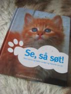 SE, SÅ SØT. 2005