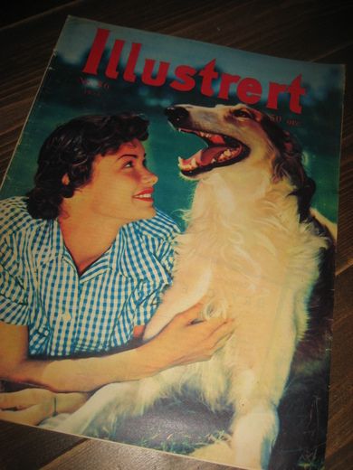 1955 nr 036 Illustrert