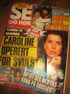 1991 nr 045 SE OG HØR