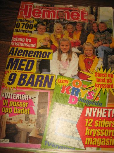 1996 nr 043 Hjemmet