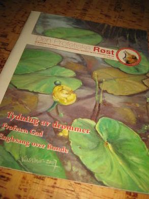 Den Profetiske Røst 2008 nr 001