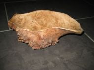 Nøtteskål fra 40 tallet laga av kjuke på tre