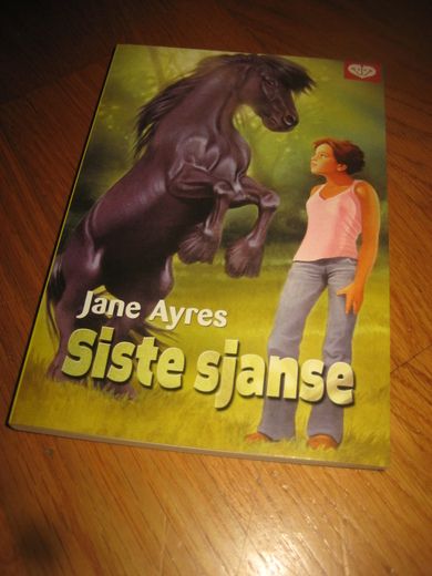 Siste sjangse. 2011.