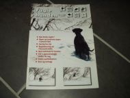 1998 nr 002 Fugle hunden