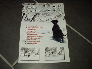 1998 nr 002 Fugle hunden
