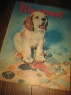 1956 nr 008 Illustrert