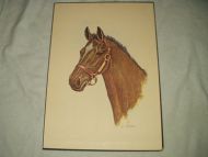 Hestebilde på plate