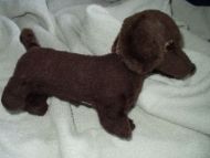 Mekanisk hund fra 50 tallet