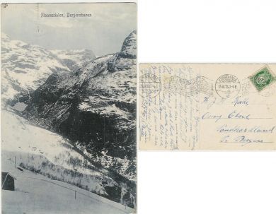Flaamsdalen Bergensbanen 1913