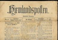 1913,nr 040, Hjemlandsposten