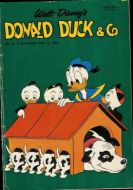 Nr 37 1965