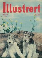 1956 nr 040 Illustrert
