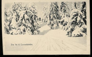 Paa Vei til Tryvandshøiden