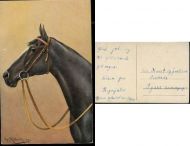 Hestekort fra 1919