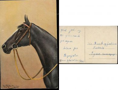 Hestekort fra 1919